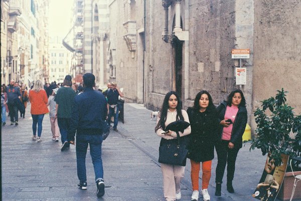 How Can British Pet Owners Ensure Their Pets Are Happy and Healthy?